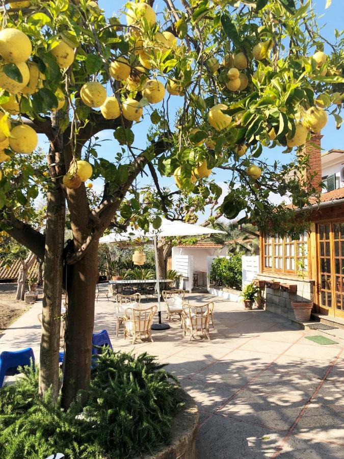 소렌토 카사 루치아 B&B 외부 사진